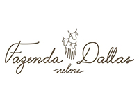 Fazenda Dallas