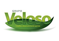 Grupo Veloso